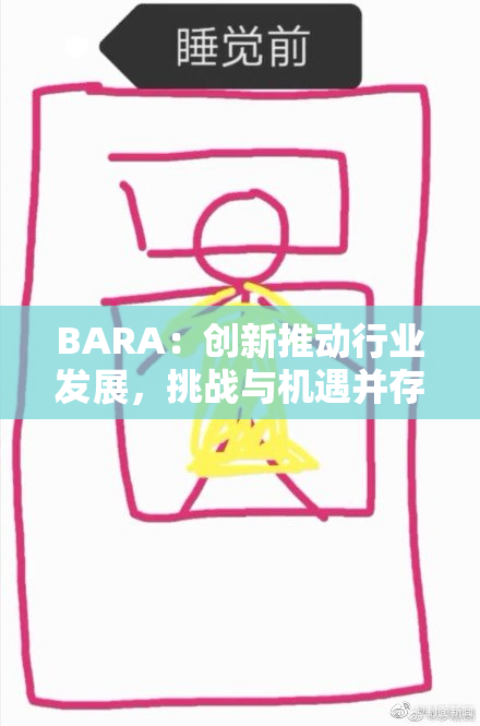 BARA：创新推动行业发展，挑战与机遇并存