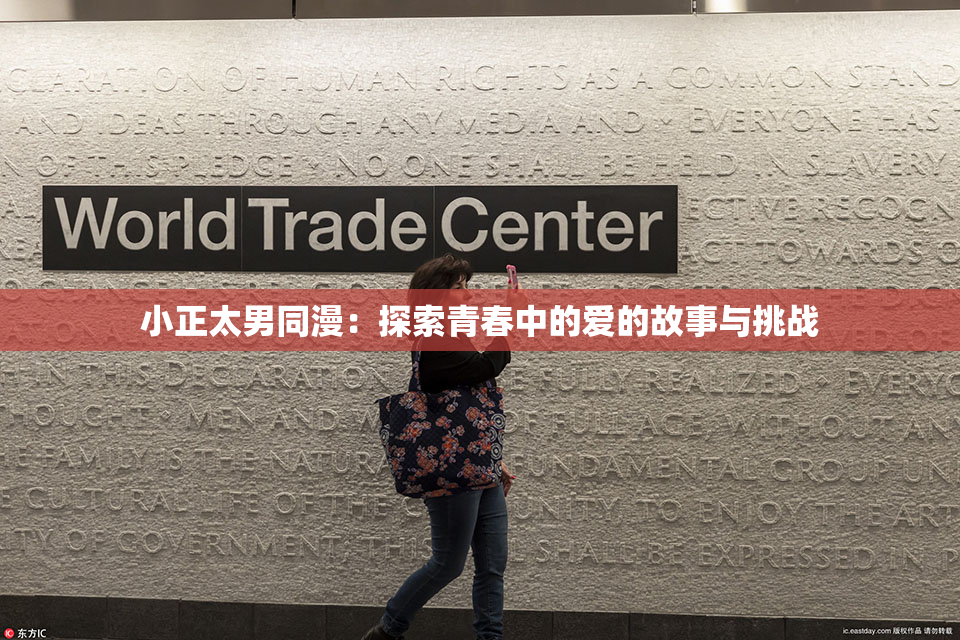 小正太男同漫：探索青春中的爱的故事与挑战