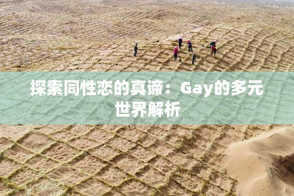 探索同性恋的真谛：Gay的多元世界解析