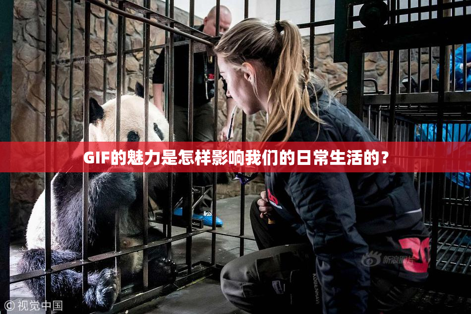 GIF的魅力是怎样影响我们的日常生活的？
