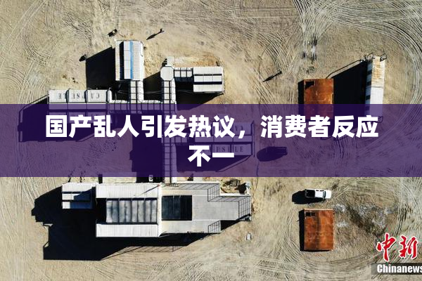 国产乱人引发热议，消费者反应不一