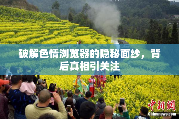 破解色情浏览器的隐秘面纱，背后真相引关注