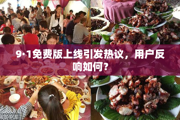 9·1免费版上线引发热议，用户反响如何？