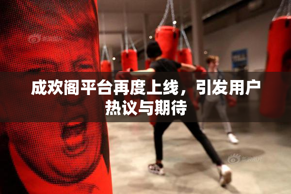 成欢阁平台再度上线，引发用户热议与期待