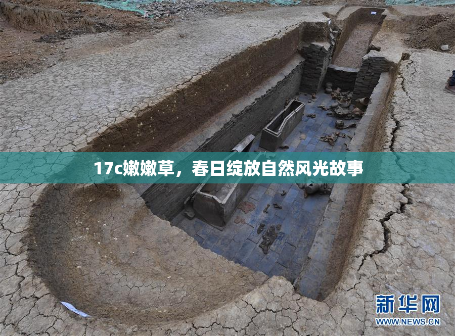 17c嫩嫩草，春日绽放自然风光故事