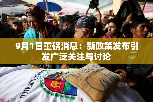9月1日重磅消息：新政策发布引发广泛关注与讨论