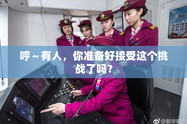 哼～有人，你准备好接受这个挑战了吗？