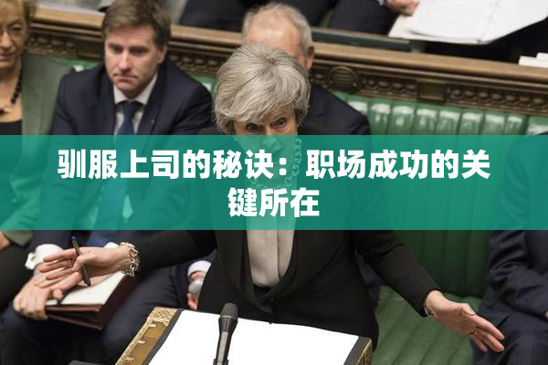 驯服上司的秘诀：职场成功的关键所在