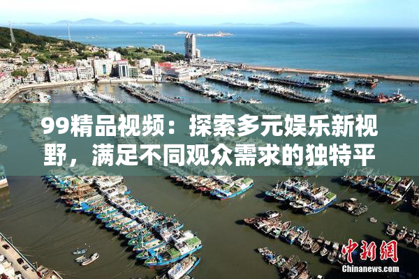 99精品视频：探索多元娱乐新视野，满足不同观众需求的独特平台