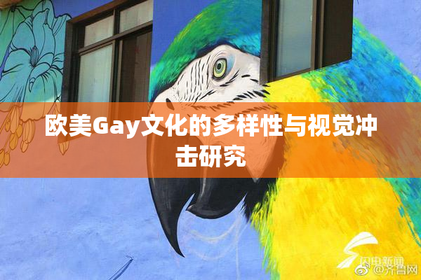 欧美Gay文化的多样性与视觉冲击研究