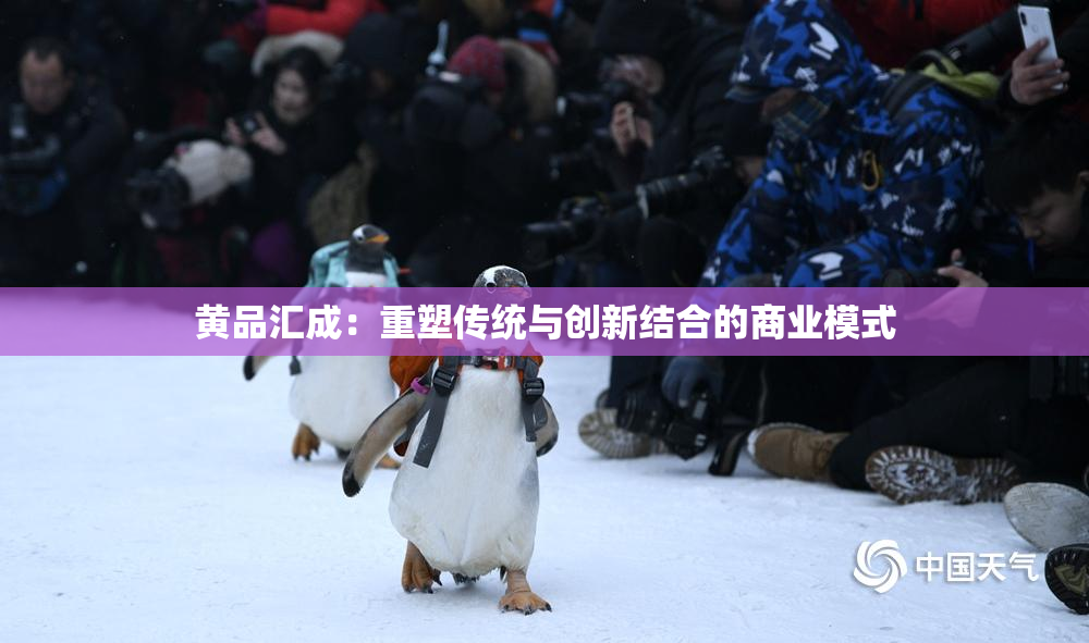 黄品汇成：重塑传统与创新结合的商业模式