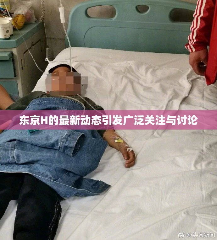 东京H的最新动态引发广泛关注与讨论