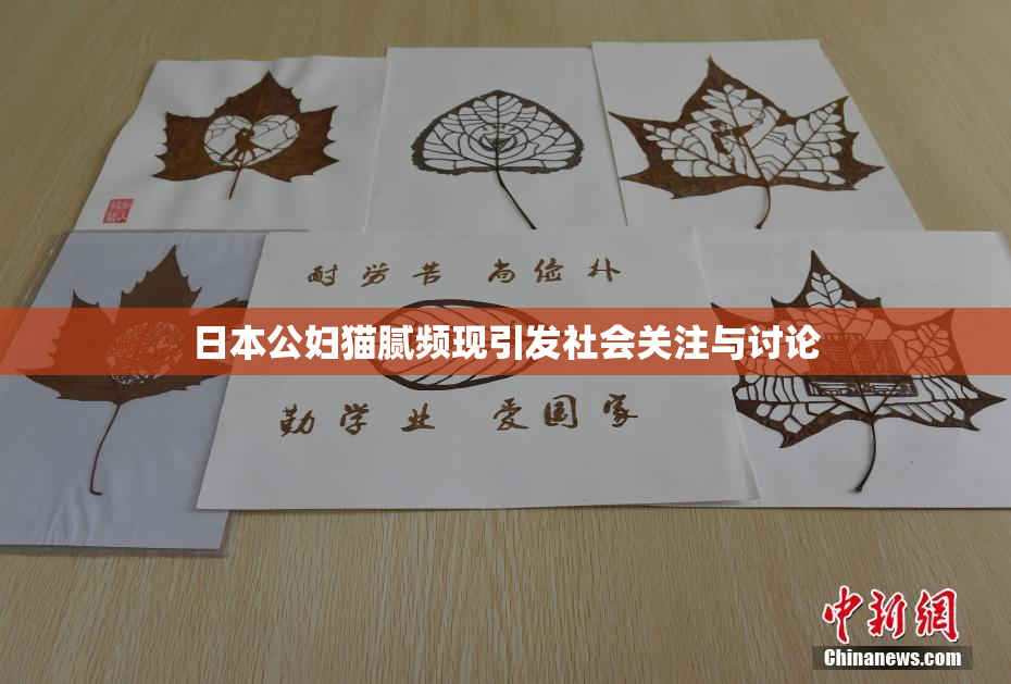 日本公妇猫腻频现引发社会关注与讨论