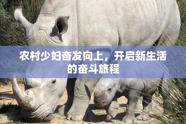 农村少妇奋发向上，开启新生活的奋斗旅程