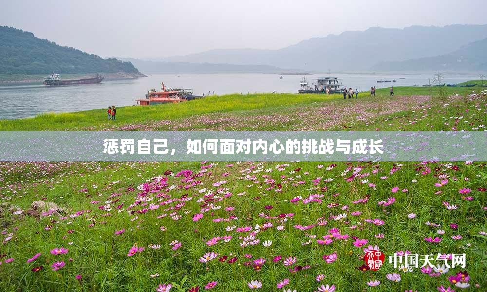 惩罚自己，如何面对内心的挑战与成长