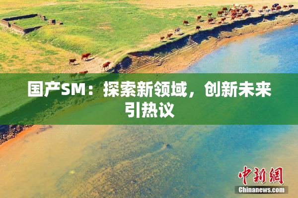 国产SM：探索新领域，创新未来引热议