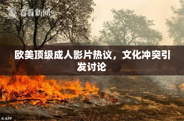 欧美顶级成人影片热议，文化冲突引发讨论