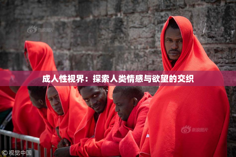 成人性视界：探索人类情感与欲望的交织