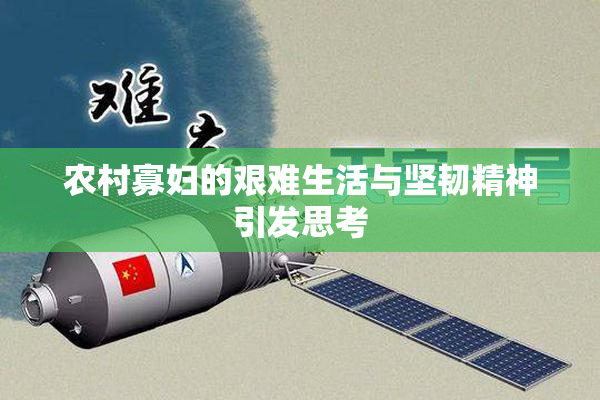农村寡妇的艰难生活与坚韧精神引发思考