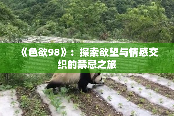 《色欲98》：探索欲望与情感交织的禁忌之旅