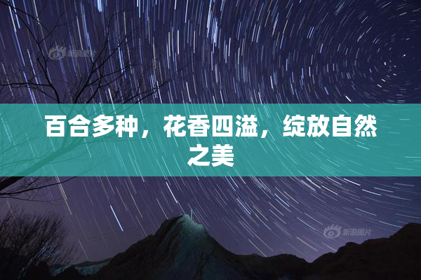 百合多种，花香四溢，绽放自然之美