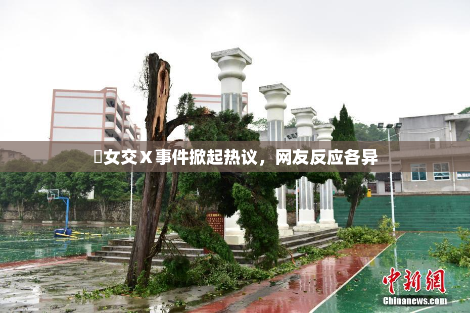 乣女交Ⅹ事件掀起热议，网友反应各异