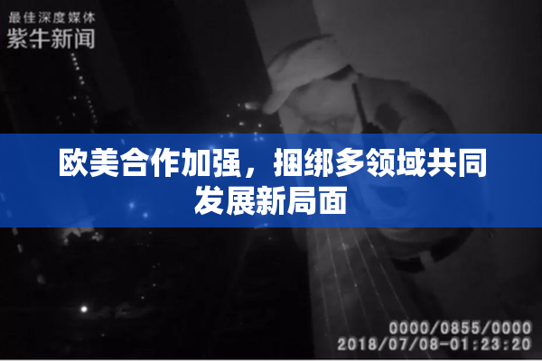 欧美合作加强，捆绑多领域共同发展新局面