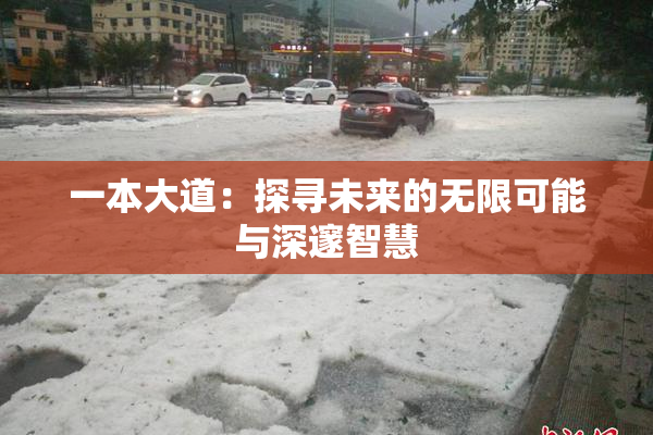 一本大道：探寻未来的无限可能与深邃智慧