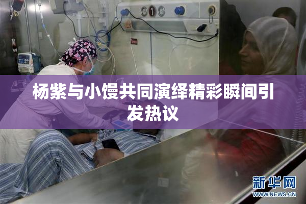 杨紫与小馒共同演绎精彩瞬间引发热议