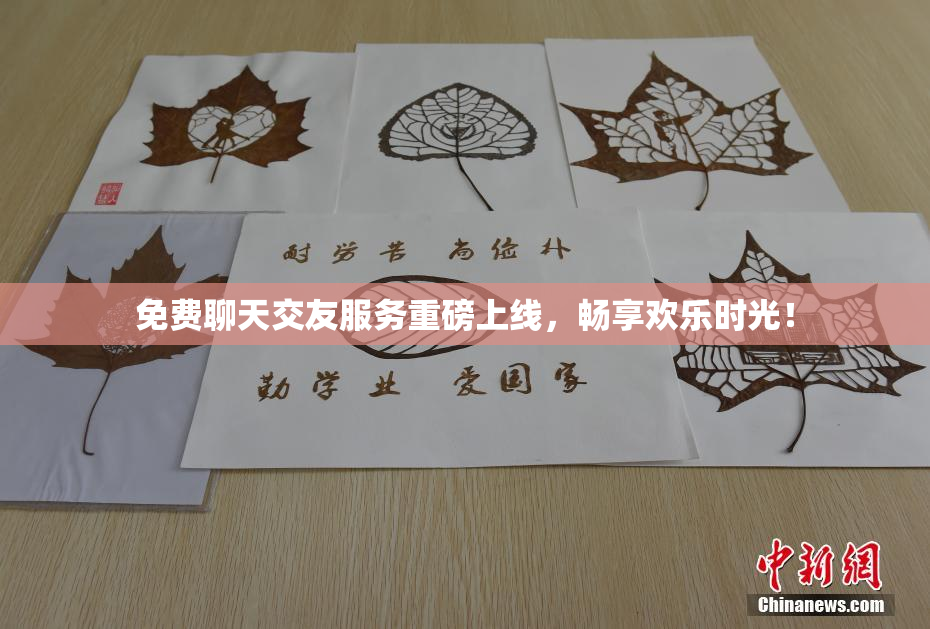 免费聊天交友服务重磅上线，畅享欢乐时光！
