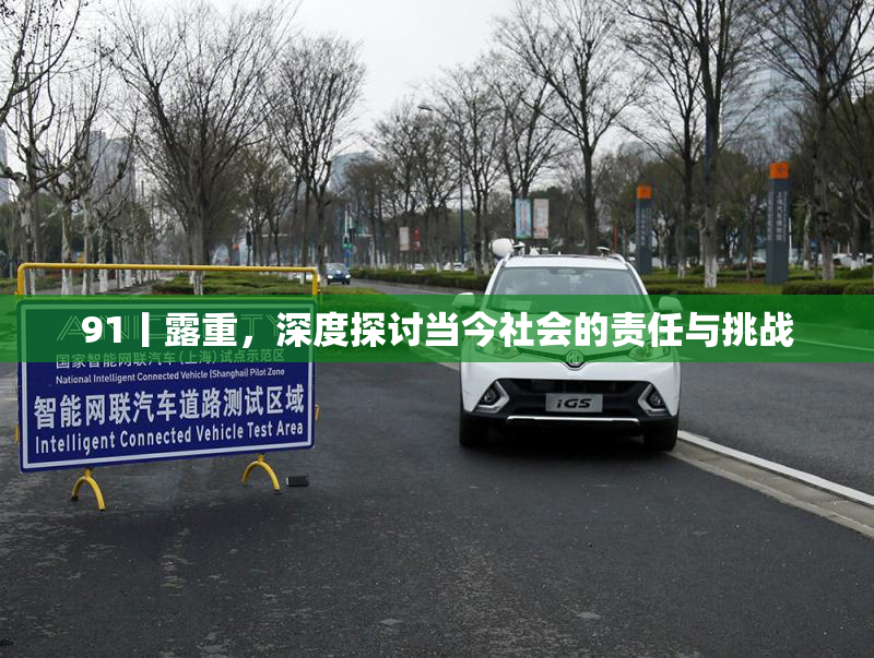 91丨露重，深度探讨当今社会的责任与挑战