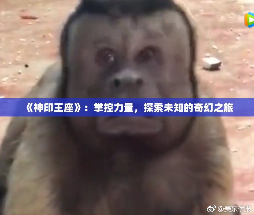 《神印王座》：掌控力量，探索未知的奇幻之旅