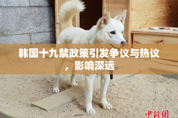 韩国十九禁政策引发争议与热议，影响深远