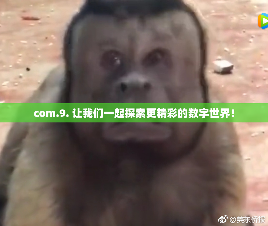 com.9. 让我们一起探索更精彩的数字世界！