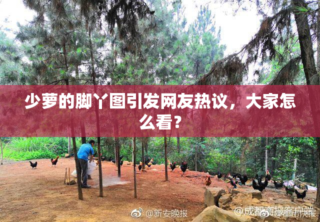 少萝的脚丫图引发网友热议，大家怎么看？