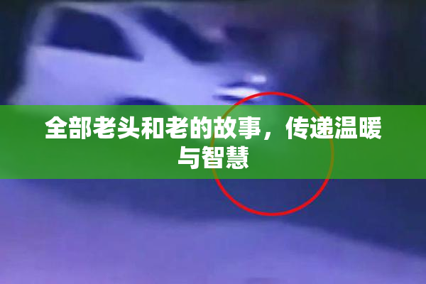 全部老头和老的故事，传递温暖与智慧
