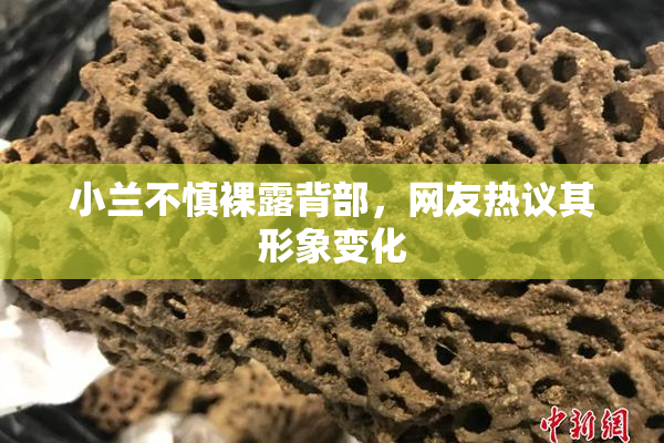 小兰不慎裸露背部，网友热议其形象变化
