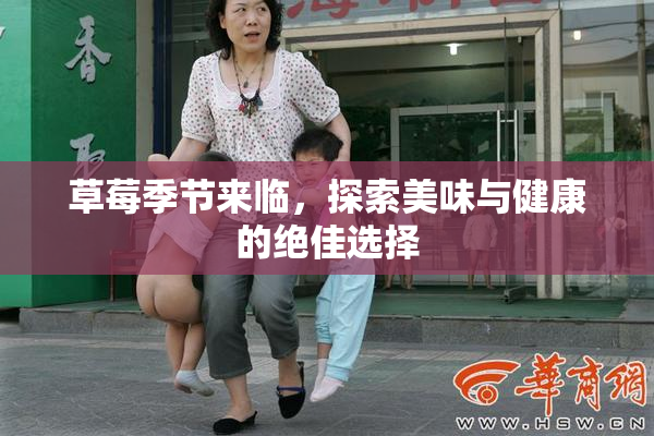 草莓季节来临，探索美味与健康的绝佳选择