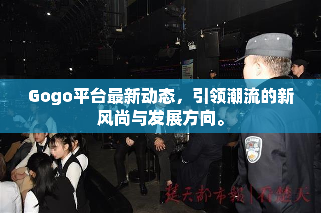 Gogo平台最新动态，引领潮流的新风尚与发展方向。