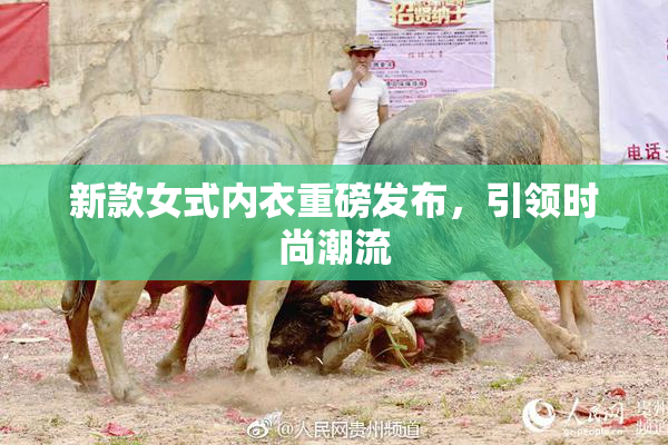 新款女式内衣重磅发布，引领时尚潮流
