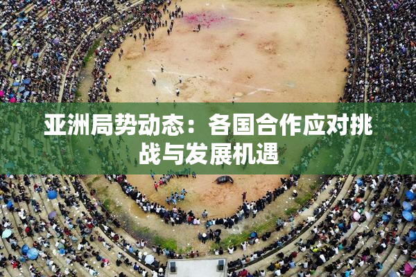 亚洲局势动态：各国合作应对挑战与发展机遇