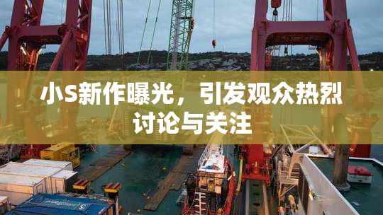 小S新作曝光，引发观众热烈讨论与关注