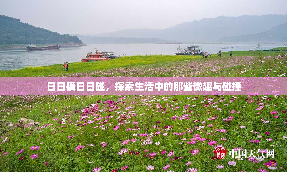 日日摸日日碰，探索生活中的那些微趣与碰撞