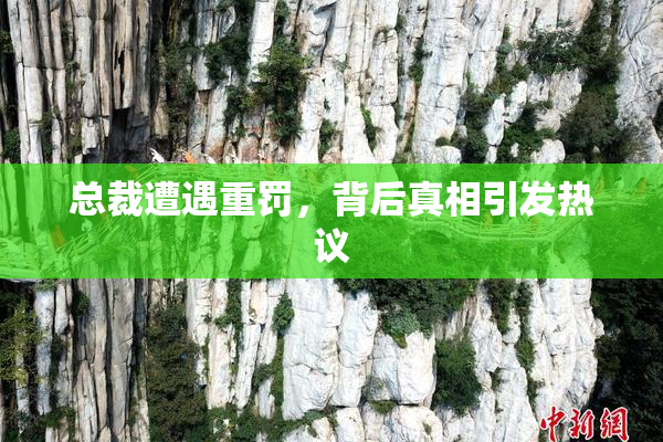 总裁遭遇重罚，背后真相引发热议
