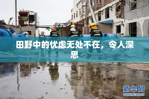 田野中的忧虑无处不在，令人深思