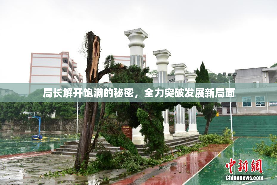 局长解开饱满的秘密，全力突破发展新局面