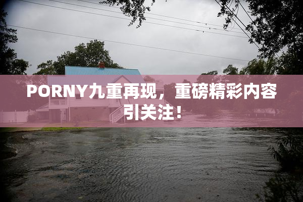 PORNY九重再现，重磅精彩内容引关注！