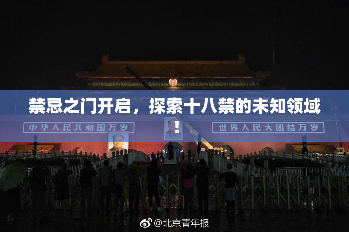 禁忌之门开启，探索十八禁的未知领域！