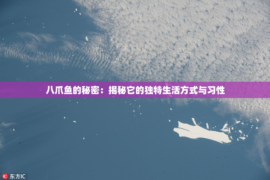 八爪鱼的秘密：揭秘它的独特生活方式与习性