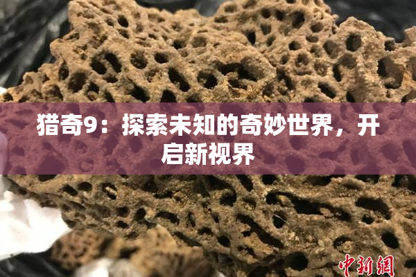 猎奇9：探索未知的奇妙世界，开启新视界